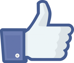 face-book-669144_640
